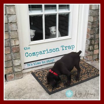 The Comparison Trap
