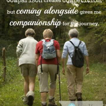 Competition or Companionship - graphic