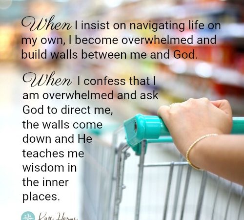 I Want Wisdom, Not Walls - Graphic